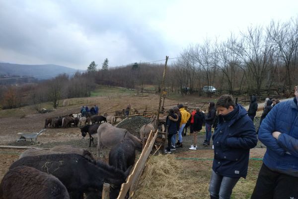 Mladi Žepča i Begovog Hana posjetili farme, vinariju i vjerske objekte